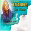 About Meri Zindagi Main Aa Kay Song